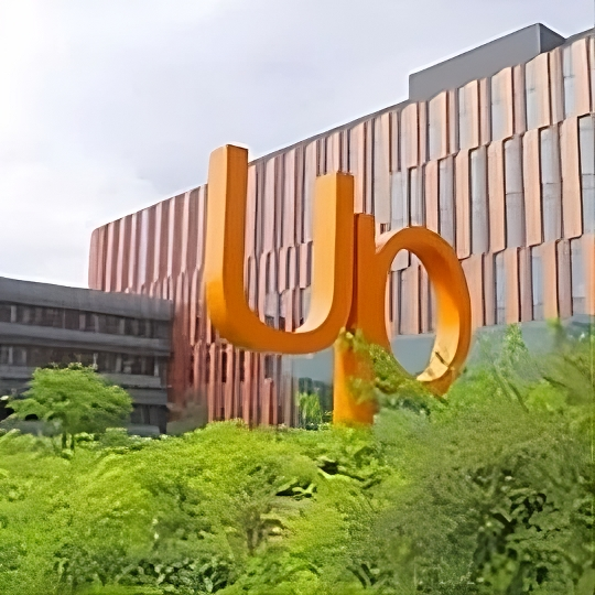 Oficina de Up Spain
